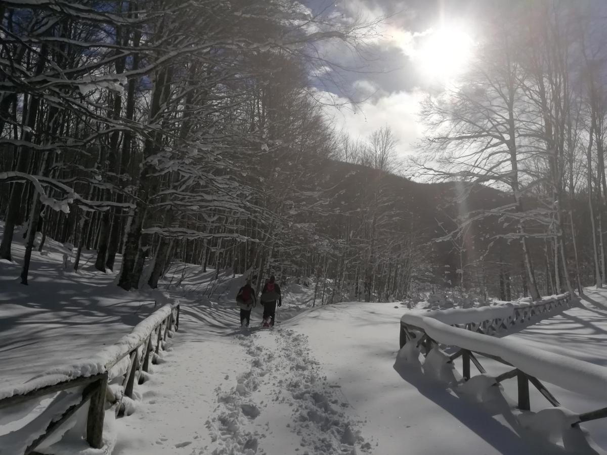 B&B Il Buon Cammino Roccamandolfi 外观 照片